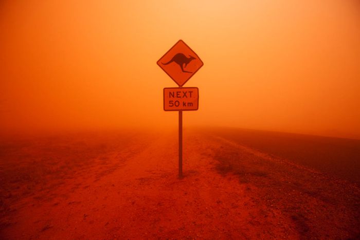 A kangaroo crossing sign amidst a red dust storm in the Australian outback.