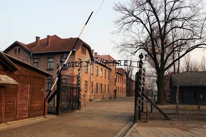 Preview For Sixtieth Anniversary Of The Liberation Of Auschwitz