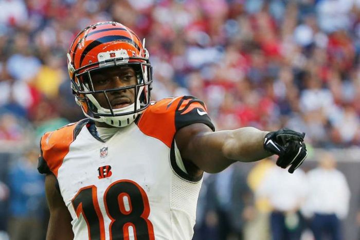 The Cincinnati Bengals.