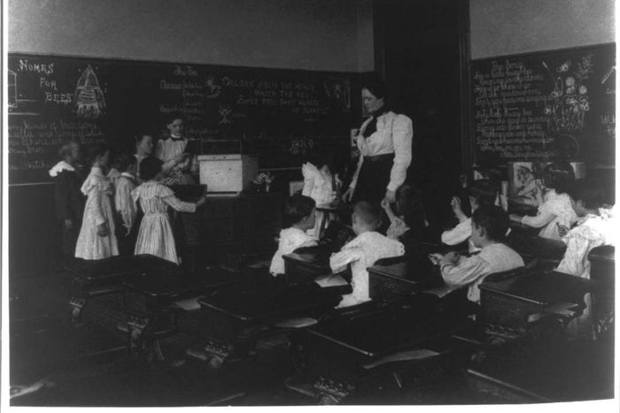 Children engaged in learning within a classroom setting