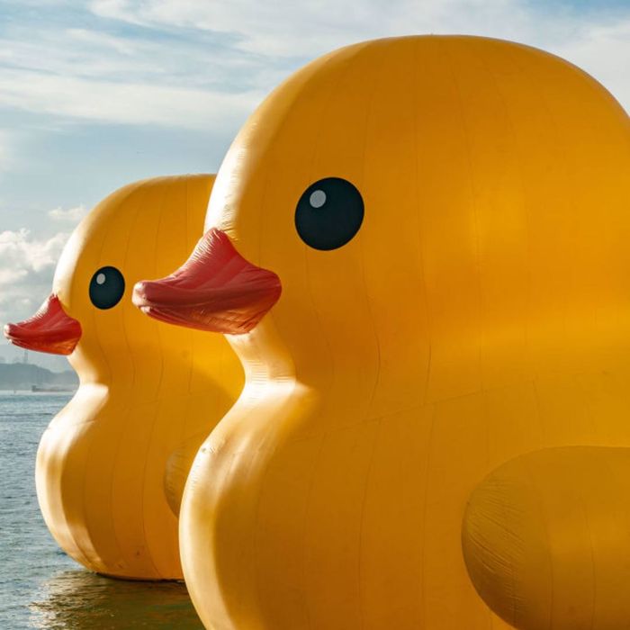Massive Rubber Duck Art Installations Make Waves in Victoria Harbor