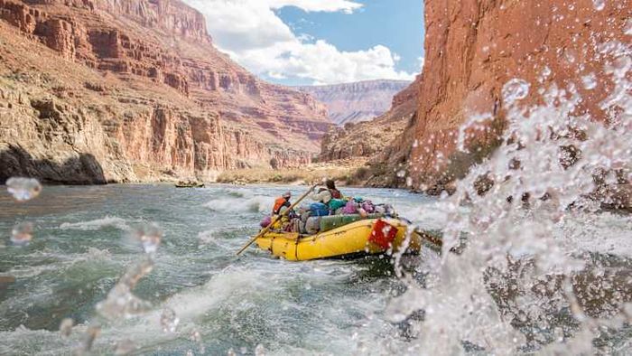 Pets like dogs or cats are strictly prohibited on that raft.