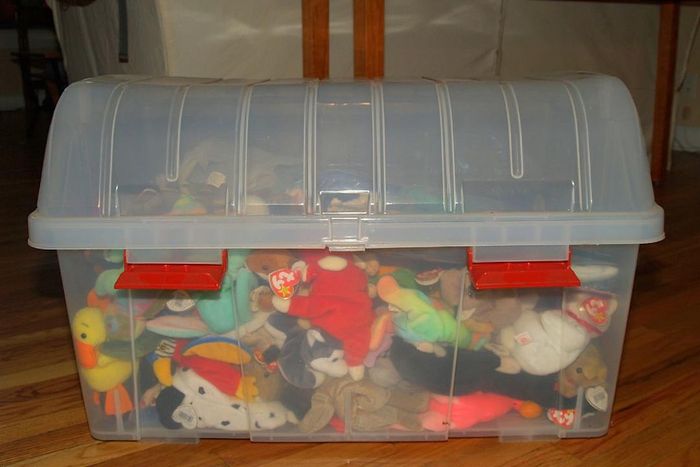 A collection of Beanie Babies stored in a plastic container.