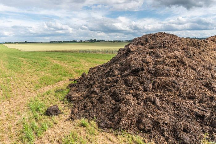 A heap of compost in a field
