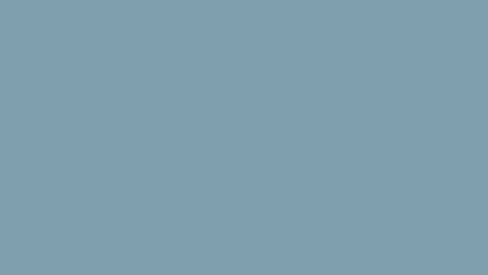 Labrador blue color.