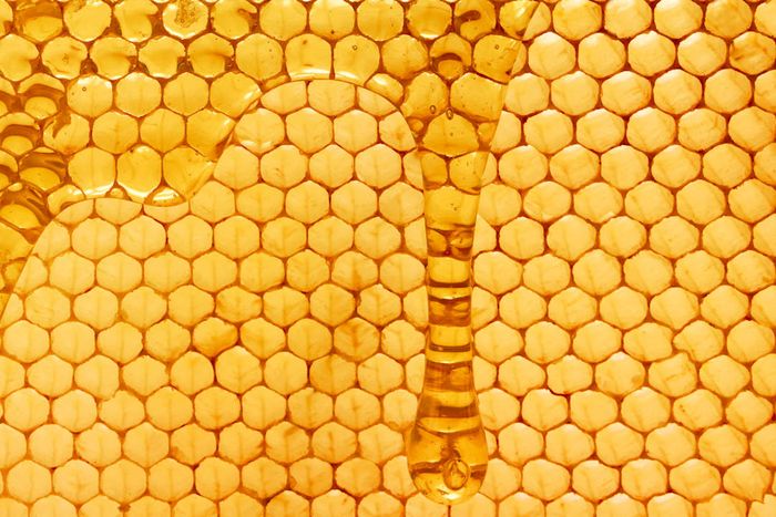 Honeycomb