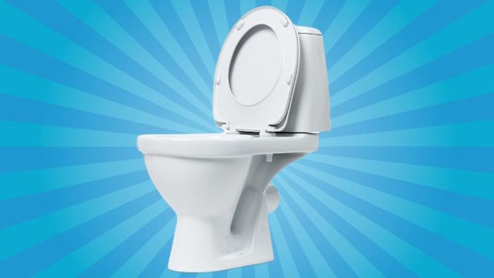 Over the years, toilets have been witness to some truly significant moments.