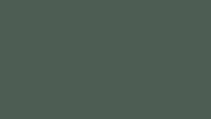 Feldgrau color