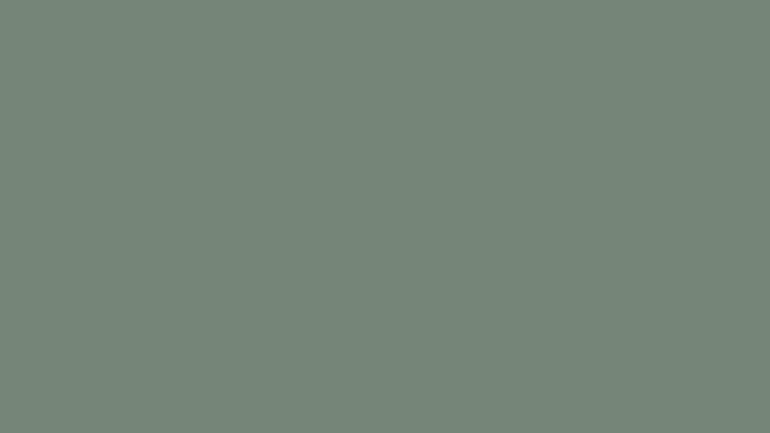 Xanadu color.