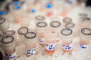 Biological sample vials