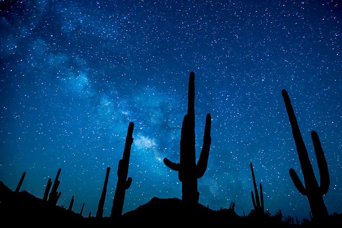 Nighttime at Parashant National Monument