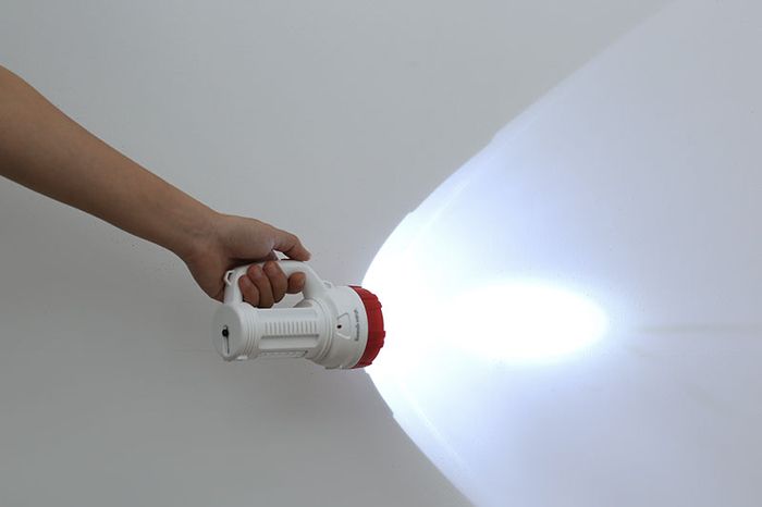 Khả năng chiếu sáng - Điện Quang ĐQ PFL08 R WR