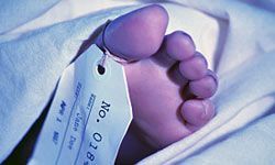 corpse in the mortuary