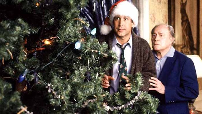 This beloved holiday film has been a go-to comedy for generations of moviegoers.