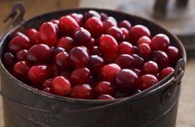 cranberry image