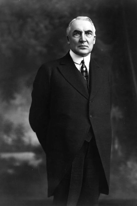 A Portrait of Warren G. Harding