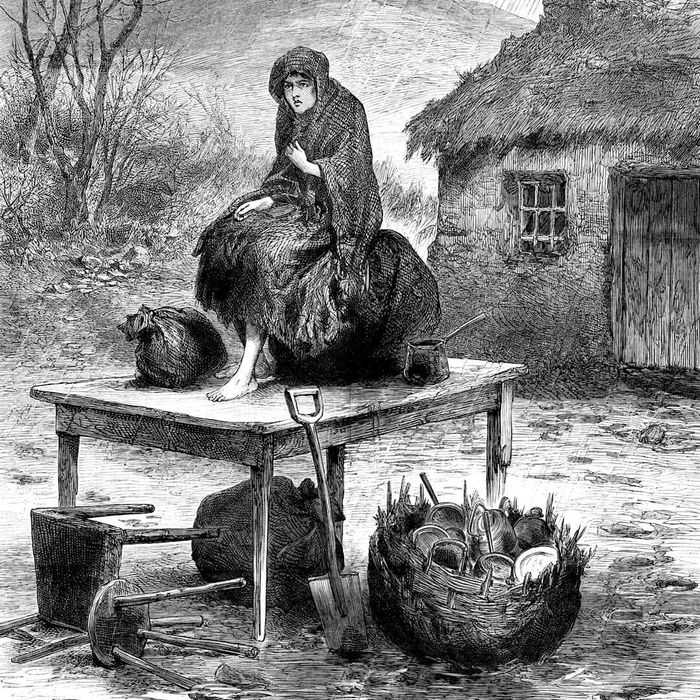An Irish peasant girl guarding the family’s last few possessions, 1886.