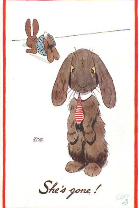 a rabbit weeps as his bunny spouse dashes off