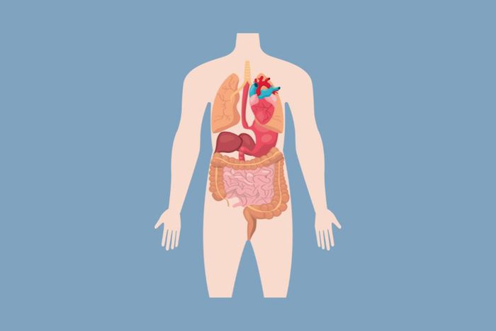 Viết báo cáo và giải thích về các vấn đề giải phẫu trong nghiên cứu và thực tiễn