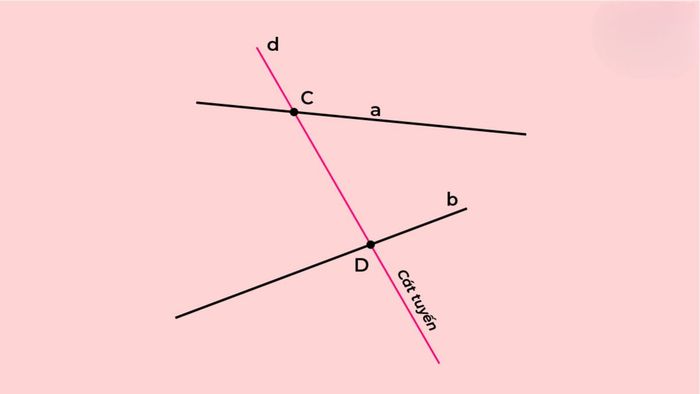 Những đặc điểm nổi bật của đường cát tuyến