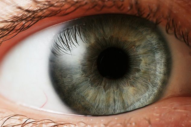 Eyes are often referred to as the windows to the soul, but they are also an essential part of our sensory system. Our eyes allow us to see the world around us, from the beauty of a sunset to the expressions of loved ones. Vision, however, is more than just sight; it’s the ability to interpret and make sense of what we see. Our eyes also perform numerous functions, from adjusting to light conditions to focusing on objects at varying distances. Without healthy eyes, our understanding of the world would be dramatically altered, highlighting just how precious and vulnerable this sense can be.