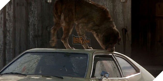Sự Trở Lại Đầy Kịch Tính Của Chú Chó Dữ Trong Bộ Phim Cujo Trên Màn Ảnh Rộng 2