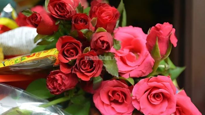 Hoa hồng đỏ được nhiều người ưa chuộng và chọn làm hoa cúng trong các dịp lễ quan trọng