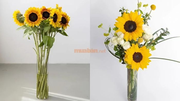 Lựa chọn hoa hướng dương làm hoa cúng khai trương với hy vọng doanh nghiệp sẽ gặp nhiều thuận lợi và thành công