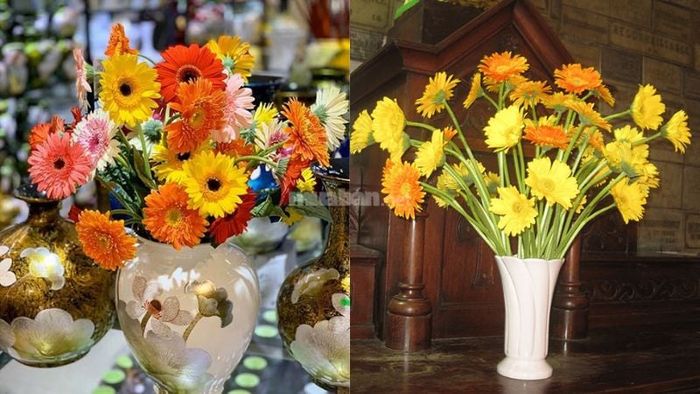 Hoa đồng tiền với màu sắc tươi sáng, rực rỡ thường được trưng bày trên mâm cúng khai trương