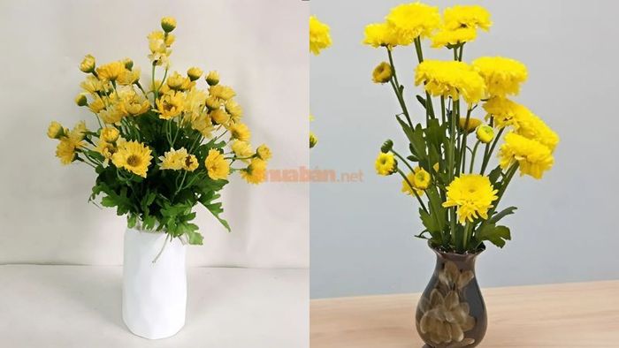 Hoa cúc vàng rực rỡ là lựa chọn lý tưởng cho lễ cúng khai trương