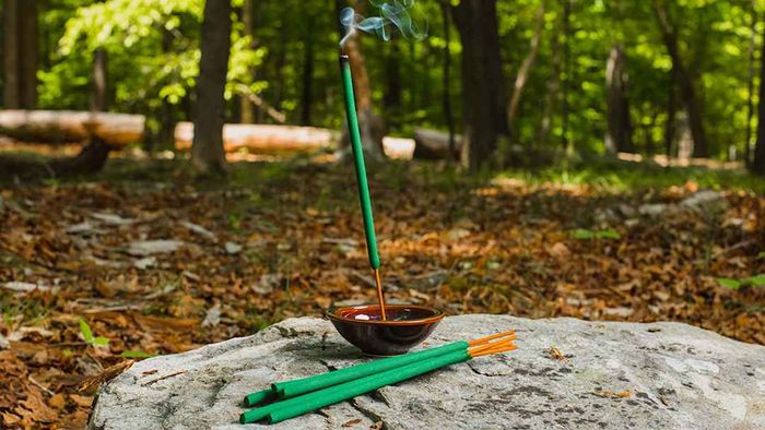 Murphy's Naturals Mosquito Repellent Incense Sticks in the great outdoors.