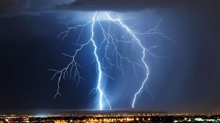biological electrical energy