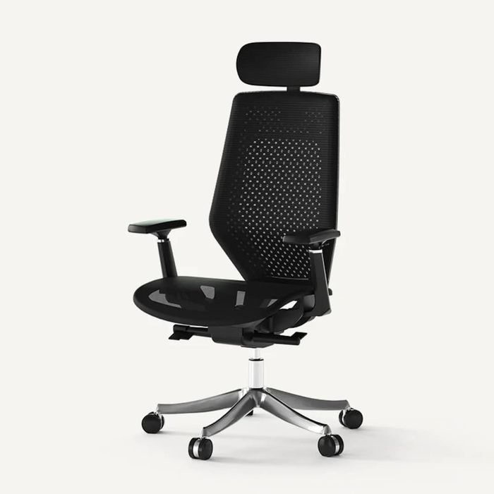 Experts recommend the FlexiSpot mesh ergonomic office chair as one of the best options available.