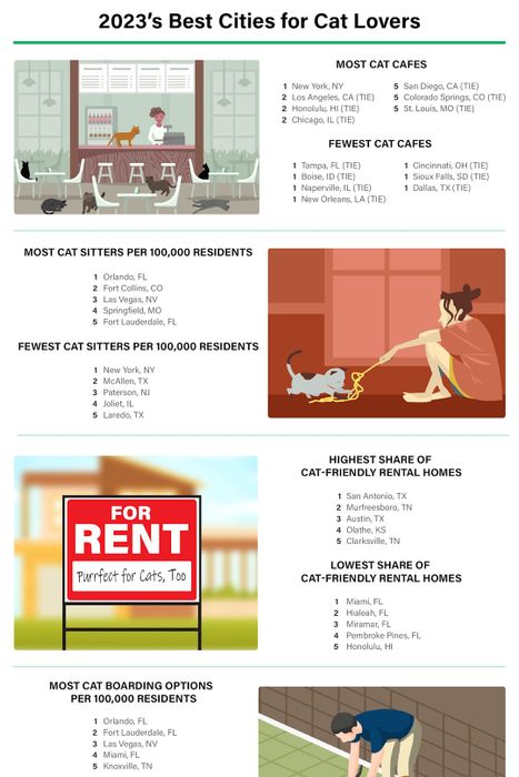 An infographic is displayed below