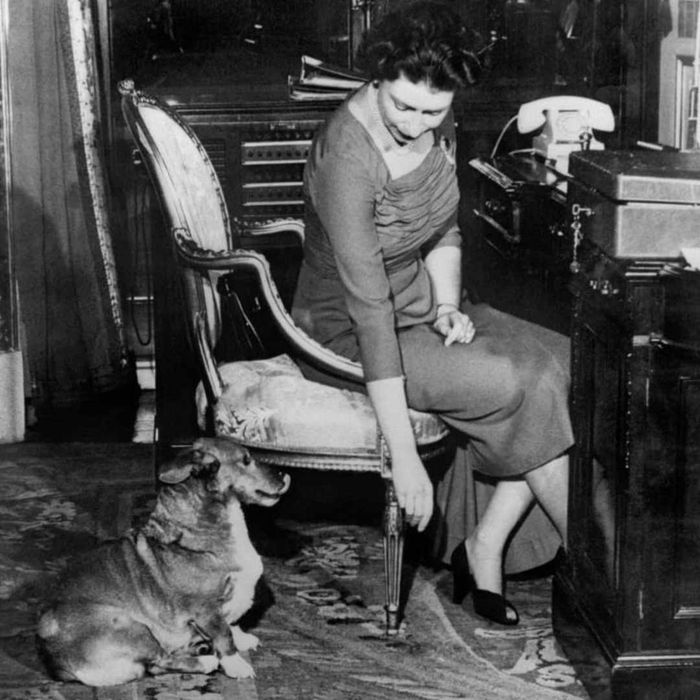 Queen Elizabeth with her dog Susan, around 1959.