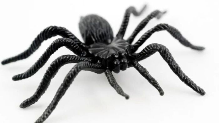 Firing at fake spiders in an office environment is never appropriate.