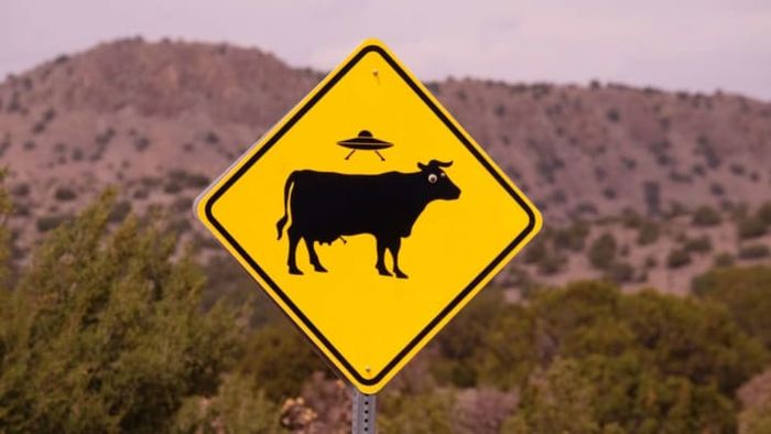 The data suggests that in Texas, cows have no reason to worry about extraterrestrial visitors.