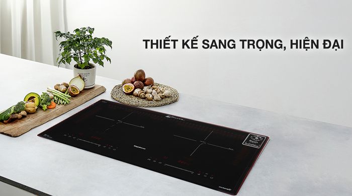 Thiết kế - Bếp từ đôi lắp âm Nagakawa NK2C08MS