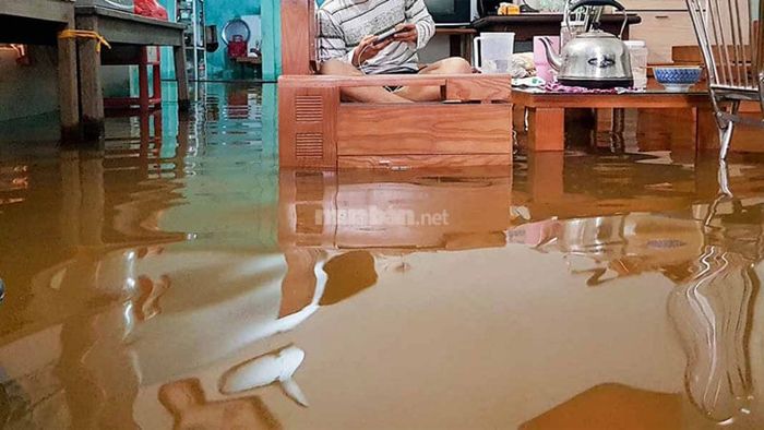 Giấc mơ về nước lũ tràn vào nhà