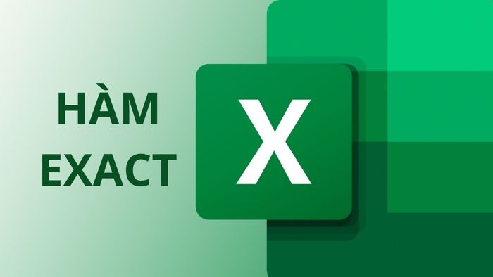 Tổng quan về hàm kiểm tra dữ liệu trùng khớp trong Excel
