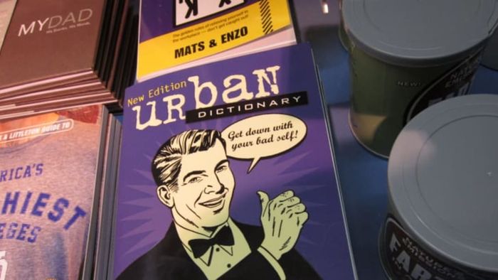 A copy of the Urban Dictionary book.