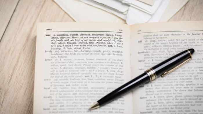 Synonyms for