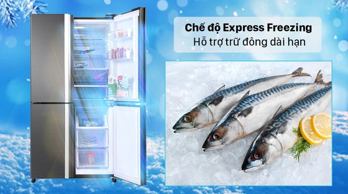 Tủ