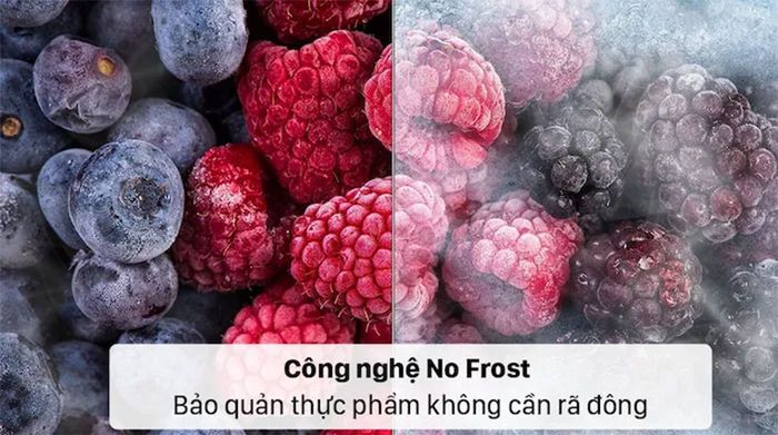 Tủ lạnh COEX RM-4009MGWP-BS được trang bị công nghệ No Frost