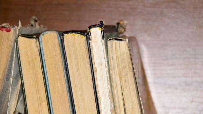 A shelf full of vintage books arranged neatly.