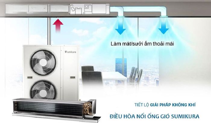 Điều