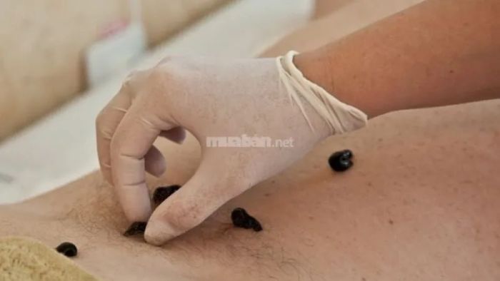 Giấc mơ thấy mình giũ bỏ đỉa bám vào người cho thấy bạn đang cố gắng thoát khỏi những điều tiêu cực