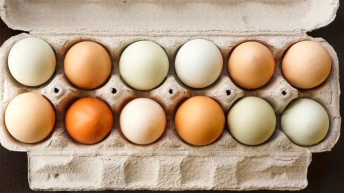 eggs in a carton