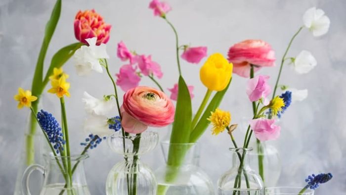 Vibrant, stunning flowers displayed in multiple transparent vases.