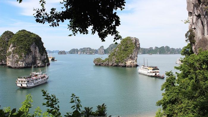 Tải ngay hình ảnh du lịch Vịnh Hạ Long